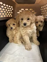 processed/44933719-ee59-45fc-98fa-9df612cf3a78/facility/52d956e9-c185-44d5-94d6-70e177a1dd3e