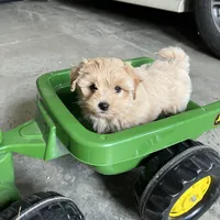 processed/44933719-ee59-45fc-98fa-9df612cf3a78/facility/8276f306-4eb7-4348-a8ef-7a28774aa446