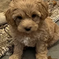 processed/44933719-ee59-45fc-98fa-9df612cf3a78/facility/833cef1f-7906-41cd-8a4f-27344bc0ddd2