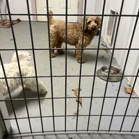 processed/44933719-ee59-45fc-98fa-9df612cf3a78/facility/c6530c93-c8cd-4252-87c3-100d2267fb61