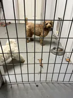 processed/44933719-ee59-45fc-98fa-9df612cf3a78/facility/c6530c93-c8cd-4252-87c3-100d2267fb61