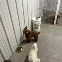 processed/44933719-ee59-45fc-98fa-9df612cf3a78/facility/cc90e3b0-c052-4b1b-a714-bb6bf5705ba4