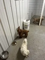 processed/44933719-ee59-45fc-98fa-9df612cf3a78/facility/cc90e3b0-c052-4b1b-a714-bb6bf5705ba4