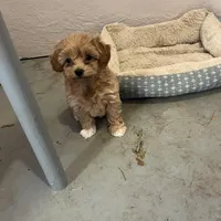 processed/44933719-ee59-45fc-98fa-9df612cf3a78/facility/e8583155-6c35-402d-86f3-8f5dbd82b605