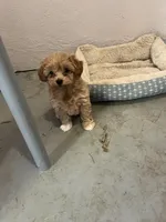 processed/44933719-ee59-45fc-98fa-9df612cf3a78/facility/e8583155-6c35-402d-86f3-8f5dbd82b605