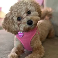 processed/44933719-ee59-45fc-98fa-9df612cf3a78/facility/fa6f2fb1-62df-4b60-b9fe-7276c2865726