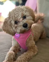 processed/44933719-ee59-45fc-98fa-9df612cf3a78/facility/fa6f2fb1-62df-4b60-b9fe-7276c2865726