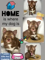 processed/449a7bd1-d3df-46b1-9500-6e88aa415ecc/listing/14c03840-e7a2-48d2-a9c5-f0073ea0d503/44a3ddd9-fec6-49fe-bbf7-2ae5b6614900