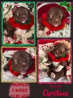 processed/449a7bd1-d3df-46b1-9500-6e88aa415ecc/listing/14c03840-e7a2-48d2-a9c5-f0073ea0d503/82ea3d7b-6d85-4110-bb28-3faf8f2584fe