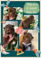 processed/449a7bd1-d3df-46b1-9500-6e88aa415ecc/listing/14c03840-e7a2-48d2-a9c5-f0073ea0d503/c66df505-193c-4817-b3c6-de649ef38b10