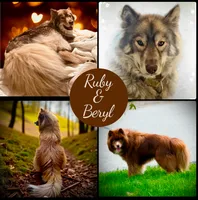 processed/449a7bd1-d3df-46b1-9500-6e88aa415ecc/listing/14c03840-e7a2-48d2-a9c5-f0073ea0d503/ce4901ee-54a2-4d1c-9dc3-572c3320be58