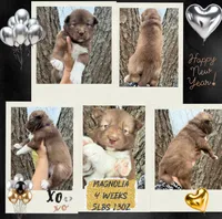 processed/449a7bd1-d3df-46b1-9500-6e88aa415ecc/listing/14c03840-e7a2-48d2-a9c5-f0073ea0d503/dcda585b-6d95-4307-b0a5-fe28de43e62f