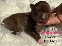 processed/449a7bd1-d3df-46b1-9500-6e88aa415ecc/listing/14c03840-e7a2-48d2-a9c5-f0073ea0d503/eda42e85-7e2d-4d3d-82ec-aa1900e395d7