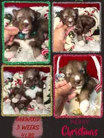 processed/449a7bd1-d3df-46b1-9500-6e88aa415ecc/listing/2cce9bfc-1e87-4ff2-a334-ea23c5bd69bc/3c25cc97-5298-4e4f-9a4b-f52c8d3e9942