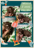 processed/449a7bd1-d3df-46b1-9500-6e88aa415ecc/listing/2cce9bfc-1e87-4ff2-a334-ea23c5bd69bc/e31b9c76-4f2a-499b-b21a-ffb639e95af7