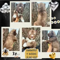 processed/449a7bd1-d3df-46b1-9500-6e88aa415ecc/listing/2cce9bfc-1e87-4ff2-a334-ea23c5bd69bc/f423813f-f48d-46df-ab67-33b4d510a966