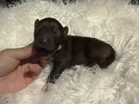 processed/449a7bd1-d3df-46b1-9500-6e88aa415ecc/listing/40e71667-8809-428b-a6f6-440e2eb5c17b/0312c517-c9c2-489e-a2a8-4b29778af853