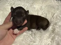 processed/449a7bd1-d3df-46b1-9500-6e88aa415ecc/listing/40e71667-8809-428b-a6f6-440e2eb5c17b/1c1144ad-25fe-4d6d-b042-8bca8d0fe33a