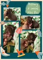 processed/449a7bd1-d3df-46b1-9500-6e88aa415ecc/listing/40e71667-8809-428b-a6f6-440e2eb5c17b/2ccd9bb4-1ee6-435b-9ebf-cafbd5fd0239