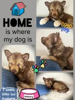 processed/449a7bd1-d3df-46b1-9500-6e88aa415ecc/listing/40e71667-8809-428b-a6f6-440e2eb5c17b/3cb39d53-58d8-40ac-8cdf-2197932ab5ff