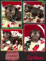 processed/449a7bd1-d3df-46b1-9500-6e88aa415ecc/listing/40e71667-8809-428b-a6f6-440e2eb5c17b/6c7255a6-3021-413f-949b-4859e3fe0fa4