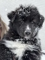 processed/449a7bd1-d3df-46b1-9500-6e88aa415ecc/listing/c4baaa4c-2ca0-4d1e-8887-2c830dbe33ed/0f89ca22-ea34-4918-ad3a-2f580237b857