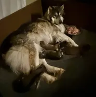 processed/449a7bd1-d3df-46b1-9500-6e88aa415ecc/listing/c4baaa4c-2ca0-4d1e-8887-2c830dbe33ed/6d7b27c5-b425-44ec-8ccd-4eb5a13e0be0