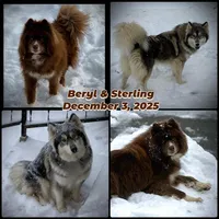 processed/449a7bd1-d3df-46b1-9500-6e88aa415ecc/listing/c4baaa4c-2ca0-4d1e-8887-2c830dbe33ed/fe91cb21-643c-4cc3-bc12-e8630143aa53