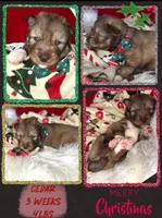 processed/449a7bd1-d3df-46b1-9500-6e88aa415ecc/listing/d3e3bcad-19f1-45d6-bd62-5ea5c7287a3f/05d986c9-4650-48eb-aa1f-1f3fe3a8fd45