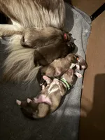 processed/449a7bd1-d3df-46b1-9500-6e88aa415ecc/listing/d3e3bcad-19f1-45d6-bd62-5ea5c7287a3f/2c216793-2597-49bd-bc46-241d3a92f7f3