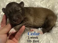 processed/449a7bd1-d3df-46b1-9500-6e88aa415ecc/listing/d3e3bcad-19f1-45d6-bd62-5ea5c7287a3f/6ca401b7-1bb5-422b-800c-ac22ee5658fe