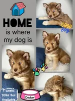 processed/449a7bd1-d3df-46b1-9500-6e88aa415ecc/listing/d3e3bcad-19f1-45d6-bd62-5ea5c7287a3f/97a7aa71-910e-4c31-965e-4dbefd8d6578