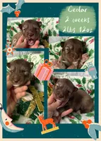 processed/449a7bd1-d3df-46b1-9500-6e88aa415ecc/listing/d3e3bcad-19f1-45d6-bd62-5ea5c7287a3f/a0666cc1-0414-43fb-9643-90a37f50360b