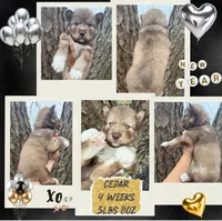 processed/449a7bd1-d3df-46b1-9500-6e88aa415ecc/listing/d3e3bcad-19f1-45d6-bd62-5ea5c7287a3f/e73e7cf5-3352-4a2a-a721-5f6256ad89e6