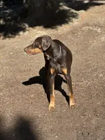 processed/449bd69b-d375-4dcc-8268-ec2011b9f3be/listing/d8c79aee-bef3-41f6-aa44-0b516aa05354/24bbea7f-82c0-4f10-b10b-d7b7326e3ea6