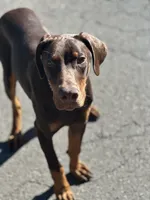 processed/449bd69b-d375-4dcc-8268-ec2011b9f3be/listing/d8c79aee-bef3-41f6-aa44-0b516aa05354/6b71ca83-6173-408a-9df2-eef540894902