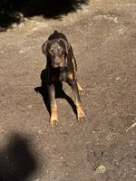 processed/449bd69b-d375-4dcc-8268-ec2011b9f3be/listing/d8c79aee-bef3-41f6-aa44-0b516aa05354/c1c61763-a406-4213-a850-4abfe64ff249