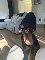 processed/449bd69b-d375-4dcc-8268-ec2011b9f3be/listing/d8c79aee-bef3-41f6-aa44-0b516aa05354/c31a0d7f-6216-4924-83b8-9c156b78bb31