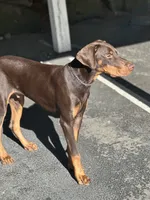 processed/449bd69b-d375-4dcc-8268-ec2011b9f3be/listing/d8c79aee-bef3-41f6-aa44-0b516aa05354/d9e59e1b-a25b-447e-963e-0e7e82166051