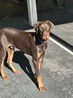 processed/449bd69b-d375-4dcc-8268-ec2011b9f3be/listing/d8c79aee-bef3-41f6-aa44-0b516aa05354/ecb8793e-1abd-49d0-94c5-287286d13a53