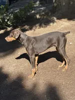 processed/449bd69b-d375-4dcc-8268-ec2011b9f3be/listing/d8c79aee-bef3-41f6-aa44-0b516aa05354/efa6b09a-7094-4377-88fc-440de6770935