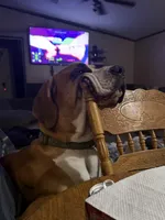 processed/449c62b6-1f78-4f2f-af64-aeae47a17d67/facility/154c10bb-d9e5-44bc-bac5-233a4f72afb6