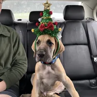 processed/449c62b6-1f78-4f2f-af64-aeae47a17d67/facility/27690af4-e0d8-4dab-ab87-c82c1a42546b