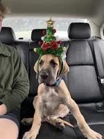 processed/449c62b6-1f78-4f2f-af64-aeae47a17d67/facility/27690af4-e0d8-4dab-ab87-c82c1a42546b