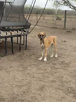 processed/449c62b6-1f78-4f2f-af64-aeae47a17d67/facility/bbc06fee-c4b7-472e-ba00-bebe8381e990