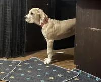 processed/449c62b6-1f78-4f2f-af64-aeae47a17d67/facility/cc95bebd-05c1-494d-a952-a28a2d5eaf22