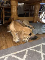 processed/449c62b6-1f78-4f2f-af64-aeae47a17d67/facility/f4d8d76f-a263-4cf5-bfa2-fc43aa60f763