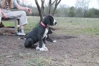 processed/449c62b6-1f78-4f2f-af64-aeae47a17d67/listing/3684f4fa-5602-409f-b1f6-eba7d2ce18d0/03b46a9e-20b8-4bce-9fe9-c85d75b821e9