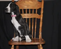 processed/449c62b6-1f78-4f2f-af64-aeae47a17d67/listing/3684f4fa-5602-409f-b1f6-eba7d2ce18d0/46b13930-da6b-427b-a7e6-d7f1dc7039fe