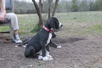 processed/449c62b6-1f78-4f2f-af64-aeae47a17d67/listing/3684f4fa-5602-409f-b1f6-eba7d2ce18d0/6424df19-0163-4767-a9aa-4619c8160517